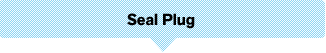 Seal Plug