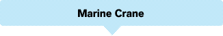 Marine Crane