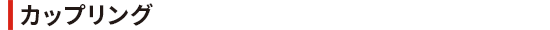 couplink_h30.png