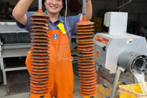 広島県 カキバスケット養殖